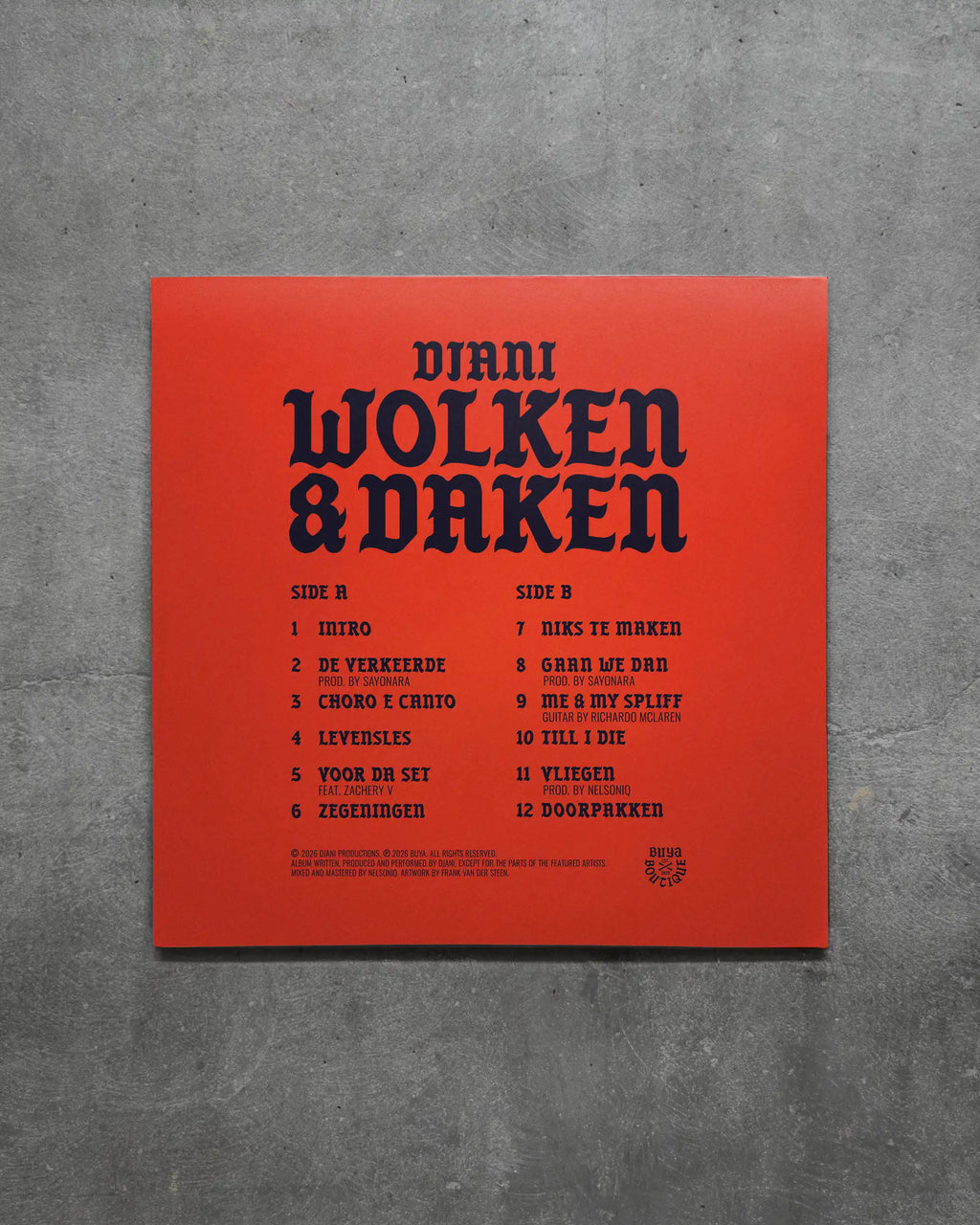 Djani - Wolken&Daken Vinyl LP